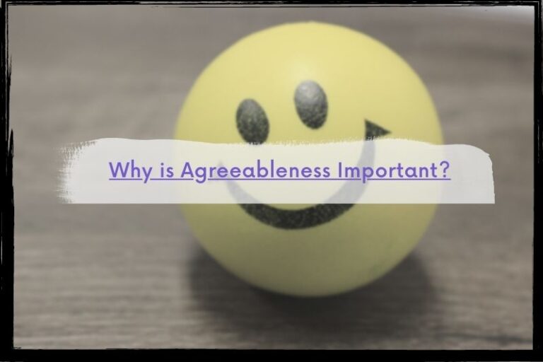 the-agreeableness-dimension-of-personality