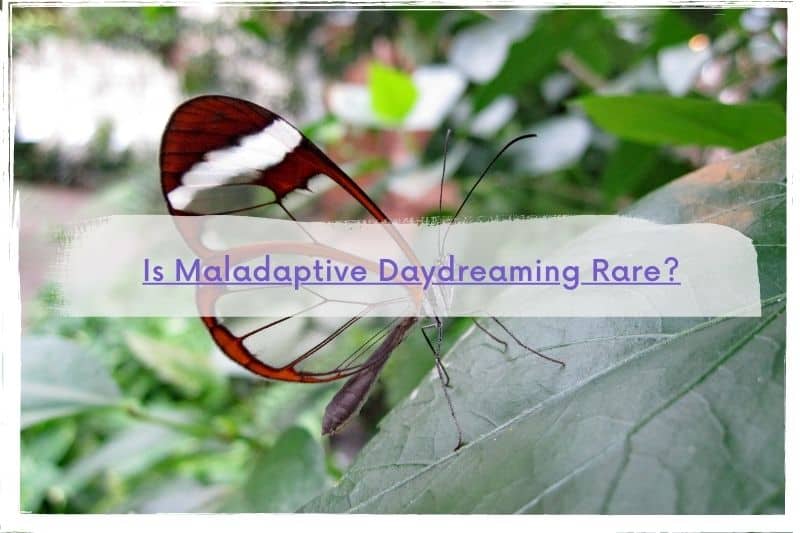 is-maladaptive-daydreaming-rare-here-s-how-common-it-really-is